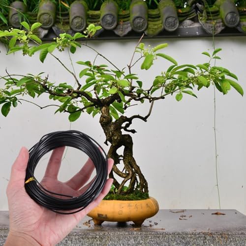 Alipis Aluminum Bonsai Wire Kit with Cutter 1mm 1.5mm 2mm Plant Training Wires 4 Rolls 40m for Tree Shaping and Bonsai Gardening Tools - Image 5
