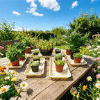 6 Pack Plastic Plant Trays Rectangular 14 Inch, Indoor Outdoor Plant Saucers with Drip Protection, Windowsill Planter Tray, 7 x 14.5 Inches, Beige - Image 7