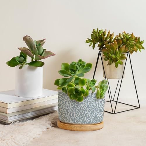 Leopard Light Dot Planters Ceramic African Tribal Animal Print Round Flower Pot with Drainage Holes and Bamboo Tray Pot for Home Office Desk Garden - Image 4