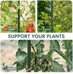 PROWORX 48 Inch 4 Ft Plant Support Garden Stakes for Outdoor Plants, 50 PCS - Image 2
