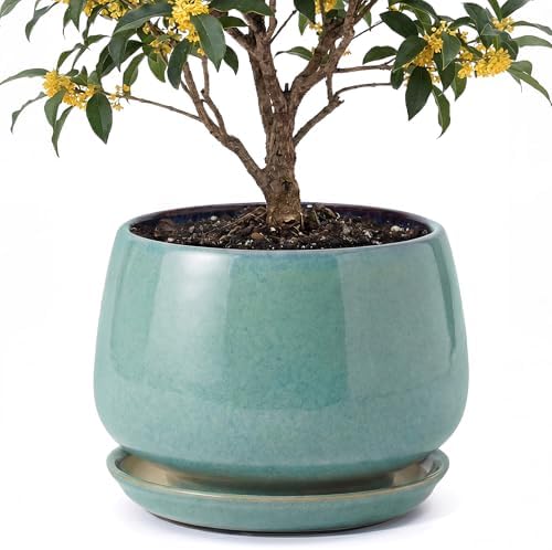 10.3 Inch Ceramic Planter with Saucer,Modern Garden Pots with Drainage Hole Mesh Net, for Indoor Outdoor Use (Blue-Green) by Unknown