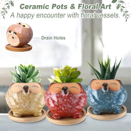 Cindeer 18 Pcs 2.5 Inch Owl Ceramic Succulent Planter Pots Mini Small Ceramic Pots with Drainage Hole and Bamboo Tray for Succulents Glaze Cactus for Home Garden Office Desk Decoration Gift Ideas - Image 4