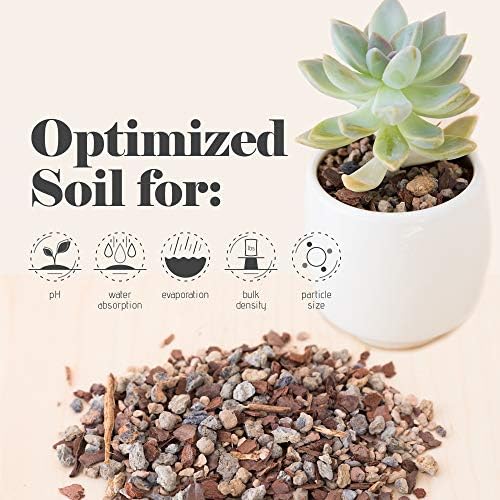 Bonsai Jack Succulent, Cactus and Bonsai Soil - Jacks Gritty Mix - 12 Gallons – Fast Draining – Fight Root Rot – Optimized pH - Image 3