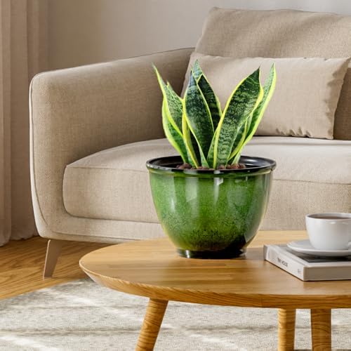 8Inch Plastic Plant Pots,4Pack Glazed Flower Pots for Indoor Outdoor Plants - Image 6