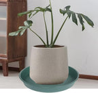 4 Pack of 16 inch Plant Saucer (13.5" Base), Heavy Duty Plastic Plant Tray for Pots, Flower Water Trays for Indoors, Bird Bath Bowls, Plant Drip Saucers for Planter 14"/15"/16" (Green) - Image 4