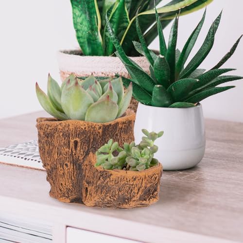 Driftwood Stump Planter Cement Vintage Small Container for Succulents - Image 6