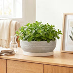 10 Inch Ceramic Bonsai Tree Pots with Saucer, Brushed Grey - Image 6