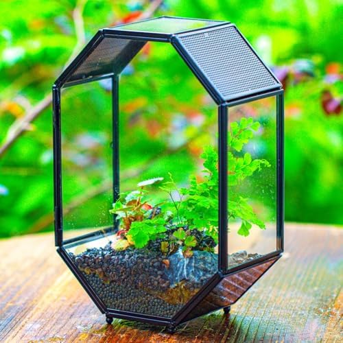 NCYP Glass Enclosure Terrarium with Mesh and Door for Spiders, Small Mantis, Jumping Spider - Octagon Shape Vented Glass Terrarium 6.2 x 3.1 x 8.7 inches, Black (Plants Not Include) - Image 6