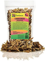 Gardenera Sphagnum Moss Potting Mix for Carnivorous Plants, Moss and Perlite Blend for Potting Venus Fly Traps, Sarracenia, Pitcher Plants - 75% Sphagnum Moss + 25% Perlite - Made in USA - 5 Quart by Gardenera