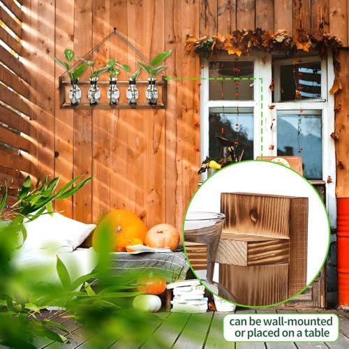 Plant Terrarium Propagation Stations Halloween Skull Planter Vase Skulls - Image 4