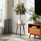 KINNARY Plant Stand Indoor, Wood Plant Table Plant Holder with Raised Design,Heavy Duty Metal Flower Pot Stand, Mid Century Modern Home Decor Small Side End Table（Clr.1-Flower 16" H） - Image 2