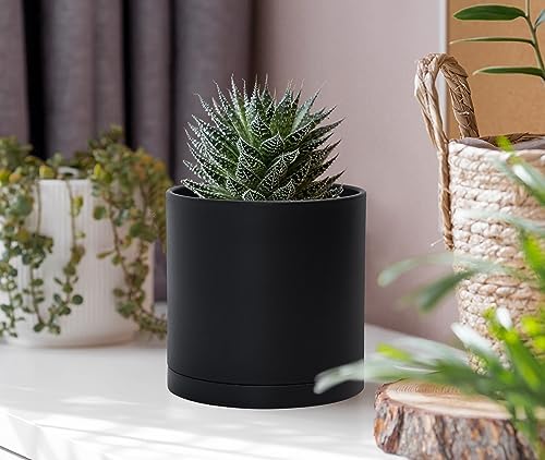 D'vine Dev 6-Pack Black Plastic Planters with Saucers, 4 in, 74-Y-E-3 - Image 6