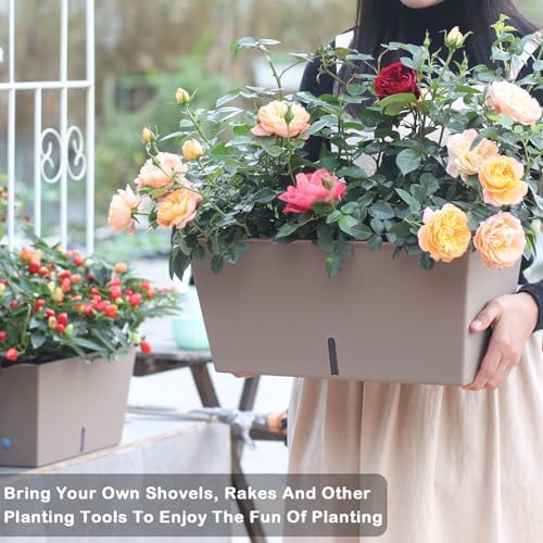 Oliz Window Box Planter 6 Pcs, 12.6 Inches Self Watering Rectangle Flower Plant Pots with Drainage Holes & Breathable Trays, Vegetable Planters for Windowsill Patio Garden Balcony Porch Yard (Khaki) - Image 4
