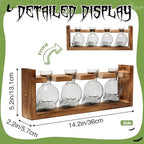 Plant Propagation Stations Halloween Skull Plant Terrarium Kit - Image 4
