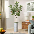 Artificial Tree in Modern Geometric Pattern Planter, Fake Rubber Silk Tree for Indoor and Outdoor Home Decoration - 70" Overall Tall (Plant Pot Plus Tree) by SIGNWIN