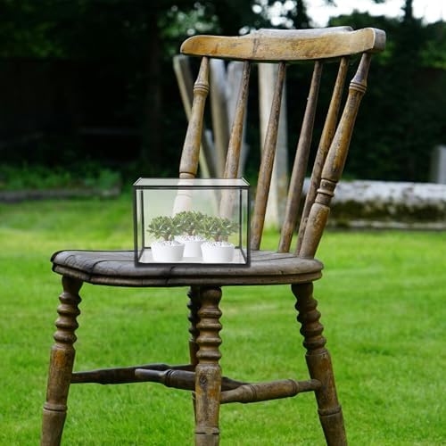 Glass Plant Terrarium Vase for Plants and Flowers - Image 6