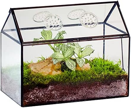 NCYP Glass Terrarium with Lid and Air Holes for Snails - 10.2" x 5.9" x 8.2" House Shape Geometric Clear Terrarium, Indoor Tabletop Decor Black (Plants Not Included) by NCYP