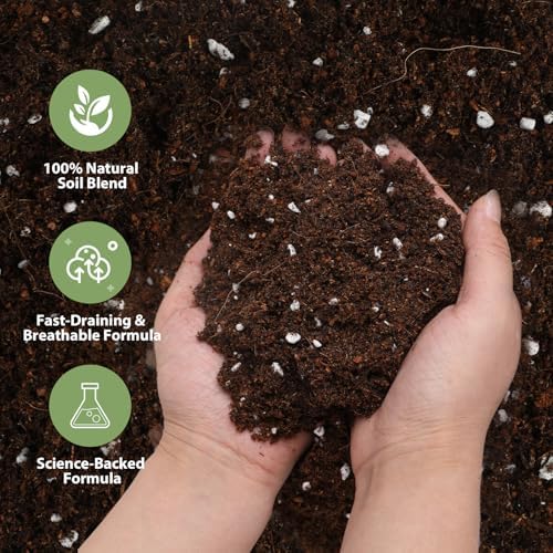 All-Natural Strawberry Soil & Potting Mix 10qt - Premium Potting Soil for All-Stage Strawberry Growth - Image 3