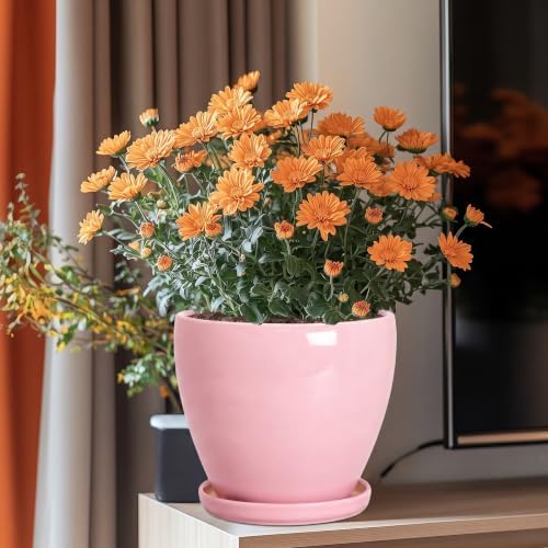 Ceraimc 8 Inch Plant Pot, Ceraimc Planters for Indoor Plants, Pink - Image 2