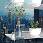 3-Tier Hanging Acrylic Plant Shelves for Windows - Image 3