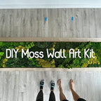Bulk Wholesale Preserved Sheet Moss Sheet Moss Bun Moss Cushion Moss Natural Green Decorative Real Terrariums(10 sq.ft.) (Green-B) - Image 2
