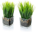MyGift Set of 2 Artificial Grass Plants in Square Glass Pots with Pebbles by MyGiftHome