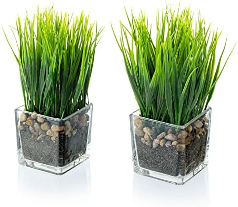 MyGift Set of 2 Artificial Grass Plants in Square Glass Pots with Pebbles by MyGiftHome