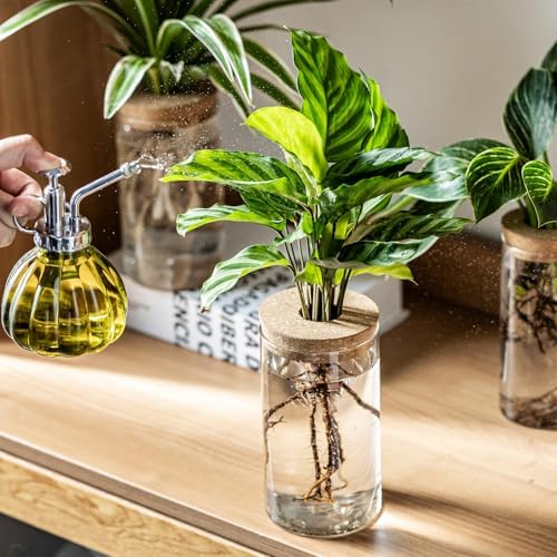Propagation Vases for Plants, Set of 6(3 Large & 3 Small) Glass Plant Propagation Stations, Plant Propagation Jars for Home Office Windowsill Tabletop Decoration (6) - Image 6