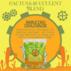 Organic Mechanics Cactus and Succulent Blend Potting Soil, 8 qt (Pack of 2) – Well-Drained Organic Mix – Enhances Plant and Root Growth with Biochar, Rice Hulls, and Worm Castings - Image 3