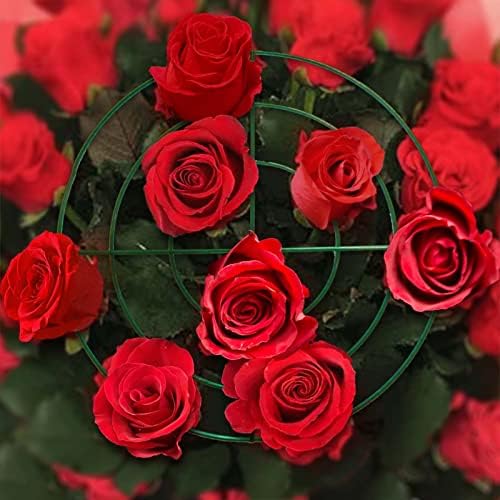 TCBWFY 8 Sets Peony Support Cage, 12" Dia x 24" High, Heavy Duty Metal Plant Support, Grow Through Hoops Grids, 4mm Legs, Green, Round - Image 7