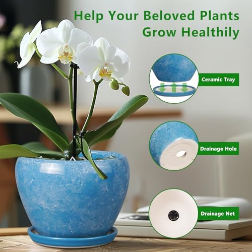 Ceramicfor 10 Inch Planter Pot, Ceramic Pots for Plants with Drainage, Blue - Image 5