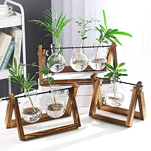 Kingbuy Retro Wooden Stand with 3 Bulb Vase + Wall Mounted 5 Glass Test Tubes Planter Plant Propagation Stations - Image 4