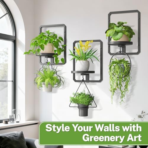 iDavosic.ly Wall Plant Picture Frame Holder Set of 3 for Indoor, Black - Image 6