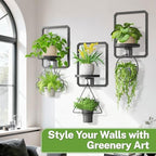 iDavosic.ly Wall Plant Picture Frame Holder Set of 3 for Indoor, Black - Image 6