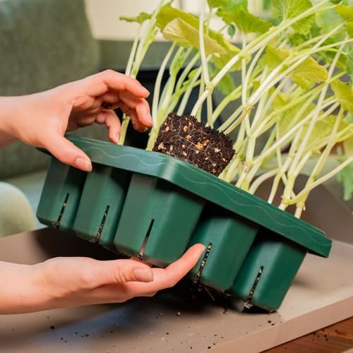 Vego garden Giga Seedling Trays - 4 Pack, 9-Cell UV-Resistant Reusable Starter Trays for Greenhouse/Garden (No Lids) - Image 5