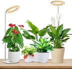 Aokrean Grow Light, Full Spectrum 6.3in Halo Plant Light for Indoor Growing by Aokrean