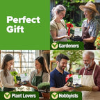 HOME GROWN 6 Bonsai Tree Starter Kit, Indoor Growing & Christmas Gift - Image 6