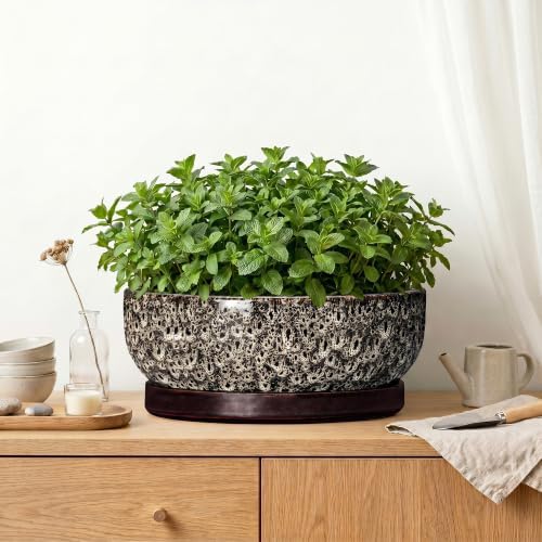 13 Inch Ceramic Bonsai Tree Pot with Saucer, White Leopard - Image 6