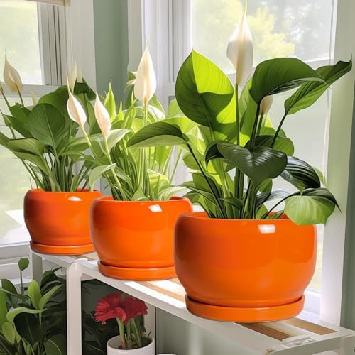 SQOWL Ceramic Planter - 10 Inch Plant Pot with Drainage Hole and Saucer, Round Modern Planter for Indoor Outdoor Plants, Decorative Large Flower Pot, House Decor, Gifts for Women Men, Orange - Image 6