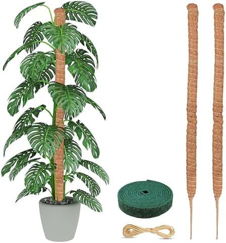 EcoNour Tall Moss Pole for Plants (2-Pack) 63-Inch | Large Monstera Plant Support for Climbing and Growth | Elevate Your Indoor Garden | Tall Plant Support for Indoor Potted Plants to Grow Upwards by EcoNour