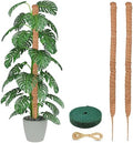 EcoNour Tall Moss Pole for Plants (2-Pack) 63-Inch | Large Monstera Plant Support for Climbing and Growth | Elevate Your Indoor Garden | Tall Plant Support for Indoor Potted Plants to Grow Upwards by EcoNour