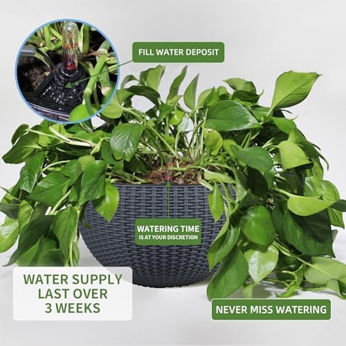 Dexceder 13.5 Inch Self Watering Hanging Planter (Gray) - Image 4