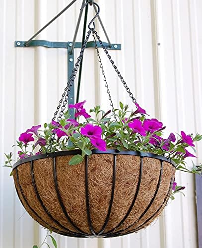 24" Georgian Rigid Iron Hanging Basket (C960) with Coco Moss Liner and Heavy Duty Chain Hanger - 2 Sets - Image 2