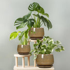 G EPGardening 7 Inch Ceramic Pots for Plants - Ceramic Planters for Indoor Outdoor Plants, Round Plant Pots with Drainage and Saucer, Modern Planter, House Decor, Plant Lover Gifts, Speckled Brown - Image 7