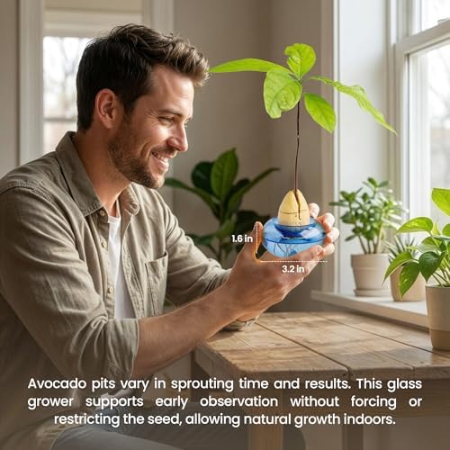 Glass Avocado Seed Vase for Growing – Hand-Blown Avocado Vase, Indoor Plant Vase and Avocado Planter Pot for Plant Growing (Light Blue) - Image 6