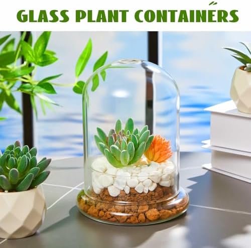 2 Pcs 4.7 x 6.3 Inch Clear Glass Dome Terrarium with Air Hole & Base - Image 5