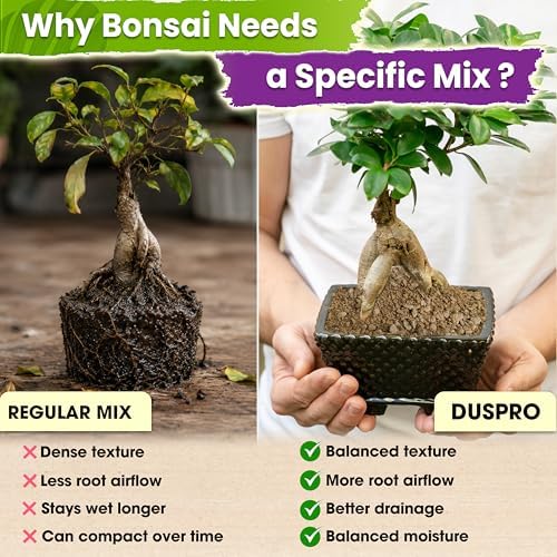DUSPRO Pre-Mixed & Ready to Use 4-in-1 Bonsai Soil Mix, 4 Quarts - Image 3