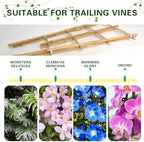 Bamboo Trellis 10 Pack, 36 Inches/3FT S3 Natural Bamboo Plant Fan Stakes, Fan-Shaped Plant Support Stand for Orchid Vines, Monarchs, Ivy and Other Plants Climbing, Help Plant Growth - Image 4