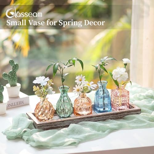 Glasseam Glass Bud Vases for Flower: 5 Pcs Small Vases with Wooden Tray - Image 4