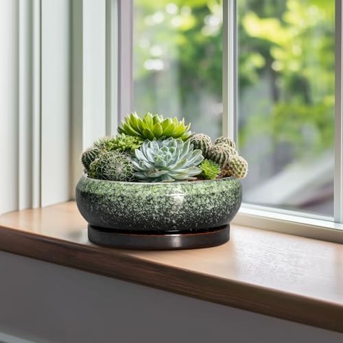 Bonsai Pots 10 Inch - Ceramic Pots for Plants Indoor Outdoor, Succulent Pot with Drainage Hole and Saucer, Large Bonsai Planter, Round Shallow Planter, Office Decor, Gardening Gift, Green - Image 4